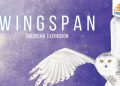 wingspan-european-expansion-free-download