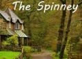 The Spinney v01 Dannot Games Free Download