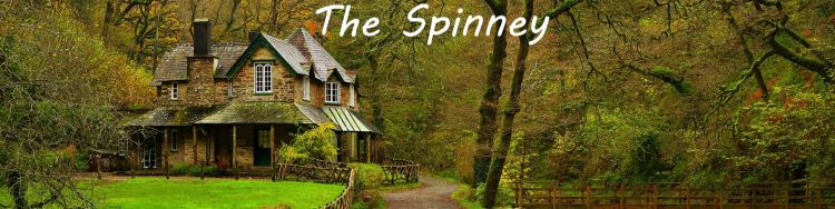 The Spinney v021 Dannot Games Free Download