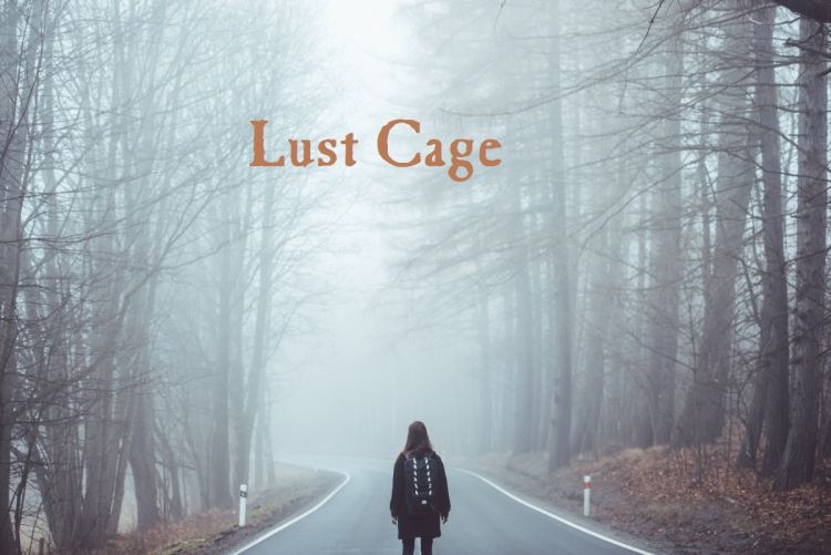 Lust Cage [v0.1.1] [RandomGames24] Free Download